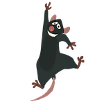 mouse, rodent, cute