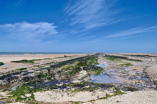 Free Coast Water photo and picture