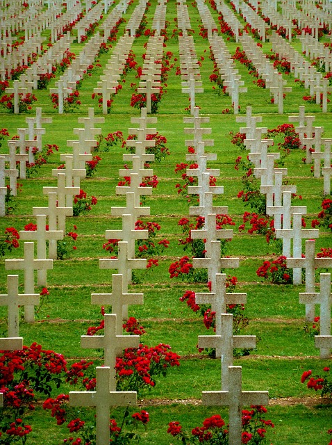 Free World War Verdun photo and picture