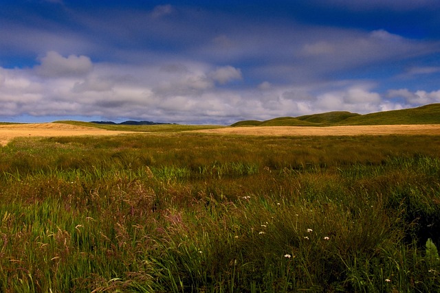 Pt, Reyes, West Marin