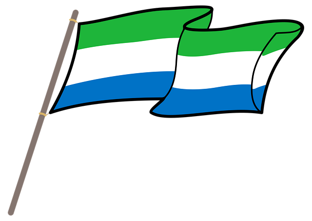 Free sierra leone flag graphics vector