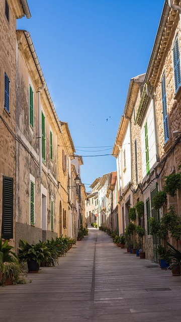 Free Alley Historic Center photo and picture
