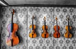 violin, music, instrument