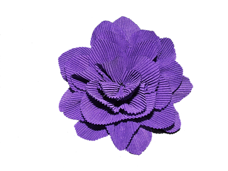 Floare, Violet, Floare Mov, Primăvară