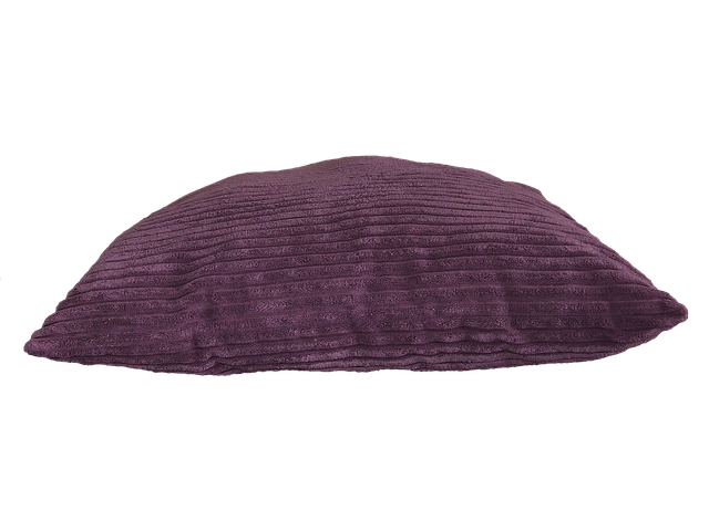 Free pillow purple fluffy illustration