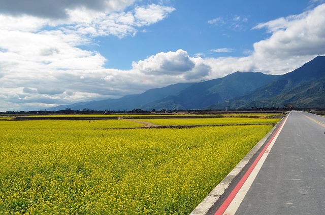 Mar De Flores, Rural, Paisagem, Montanha