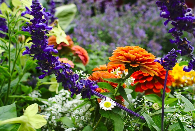 Free Flower Flower Field photo and picture