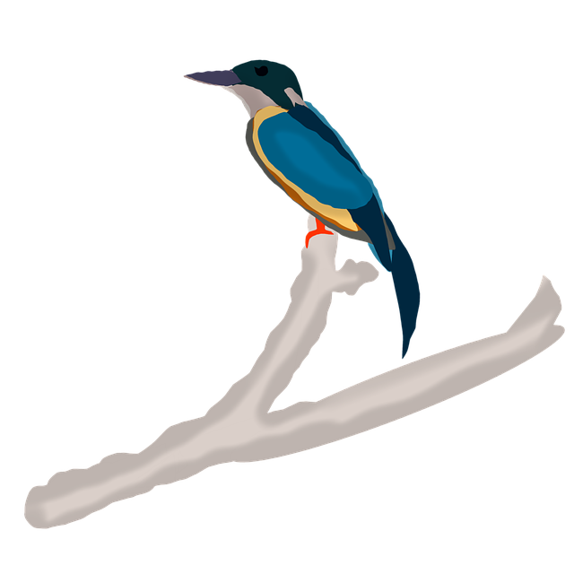 Free kingfisher nature branch illustration