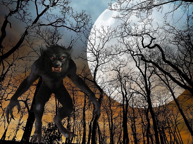 Free men wolf full moon illustration