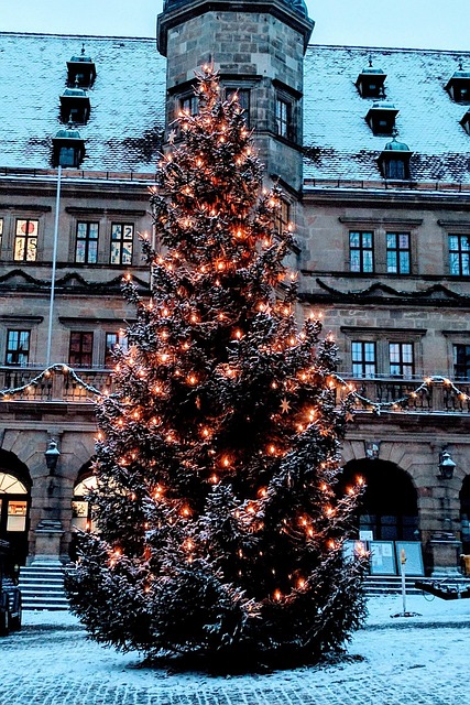 Free Rothenburg Of The Deaf Marketplace photo and picture