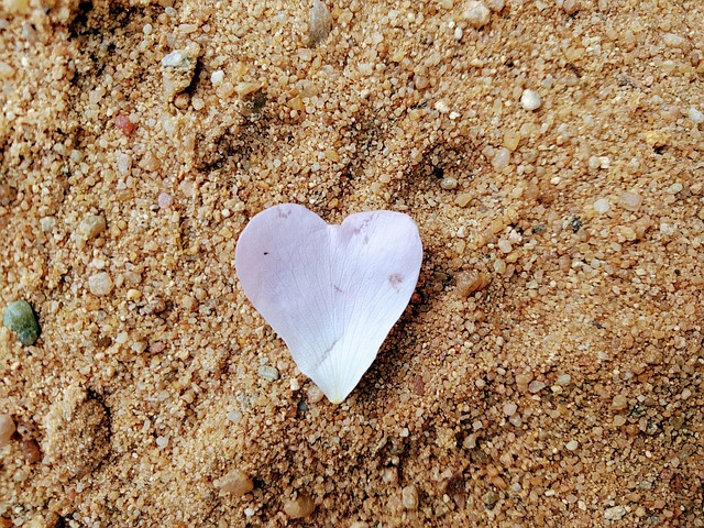 Free Heart Nature photo and picture