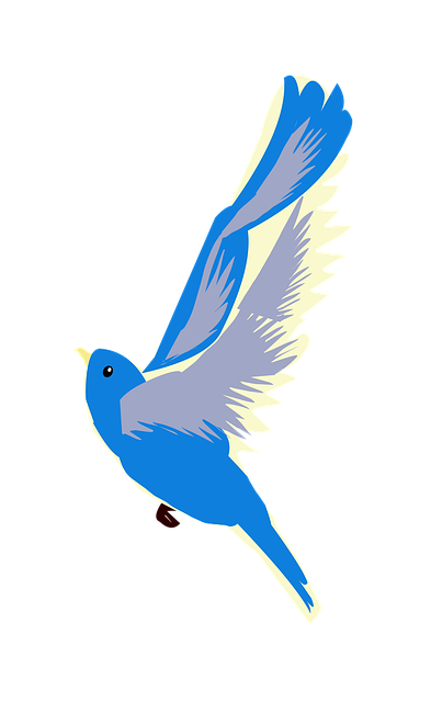 Free bird blue bird flying illustration