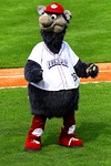 allentown, mascot, ferrous