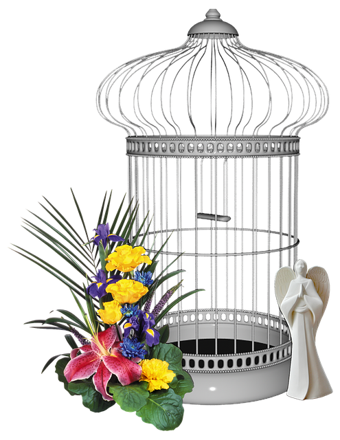 Free Bird Cage Yellow Flower illustration and picture
