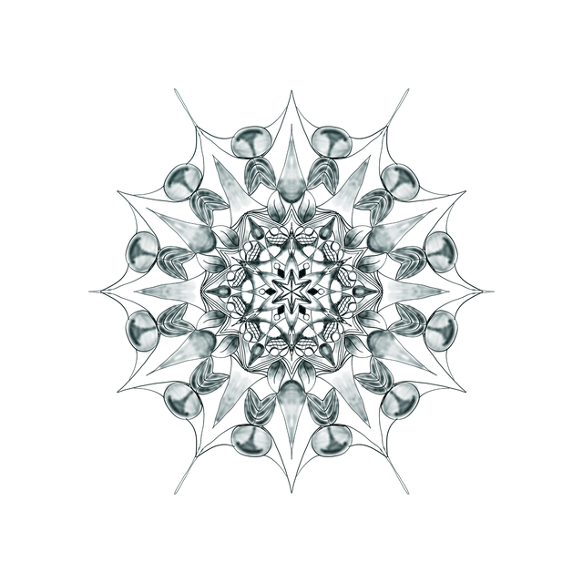 Free mandala isolated meditation illustration