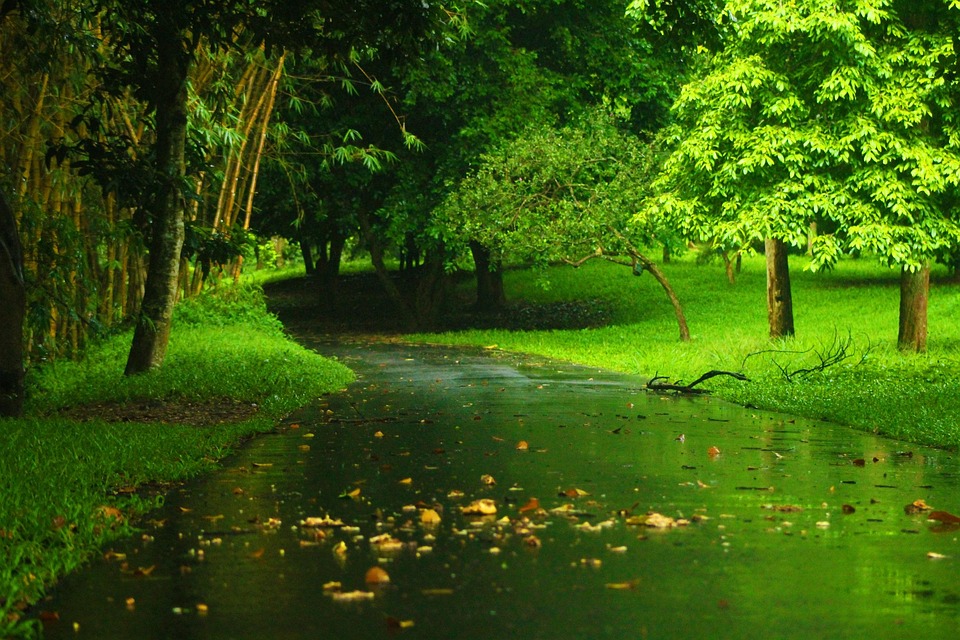 Paisagem Natureza Verde Foto Gratuita No Pixabay Paisagem Natureza Verde Foto Gratuita No Pixabay