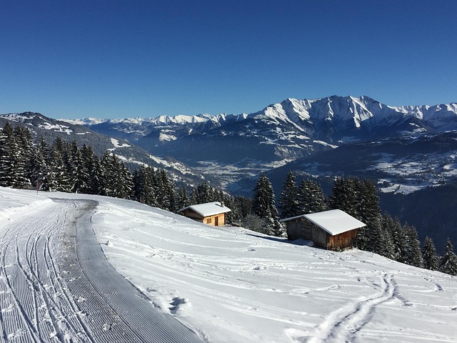Free Switzerland Snow photo and picture