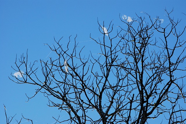 Nieuwigheid, Canvas, Spin, Blauwe Lucht