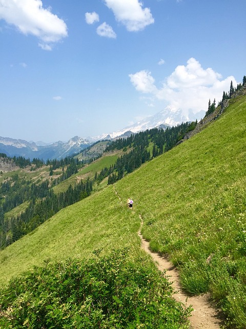 Free Meadow Trail photo and picture