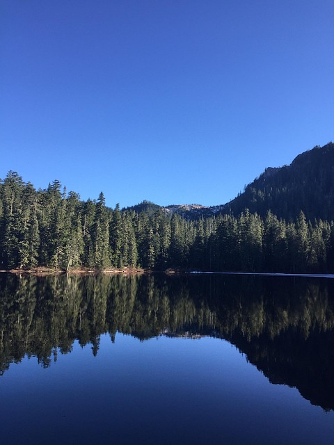 Free Lake Reflection photo and picture