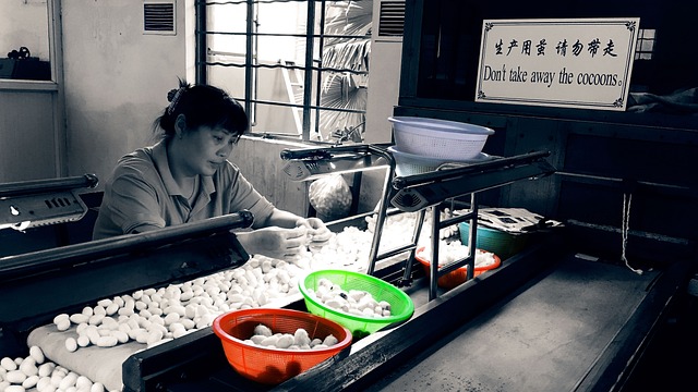 Free Silk Silk Worm photo and picture
