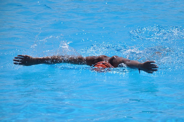 Free Swimming Water photo and picture