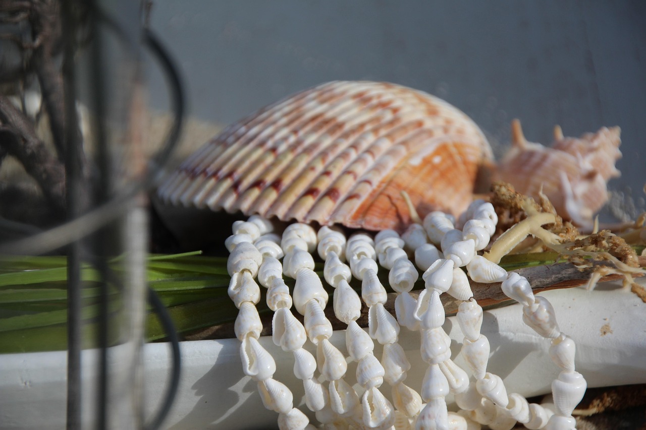Fun Shellfish Photo Fishes Shellfish Deco - Free photo on Pixabay - Pixabay