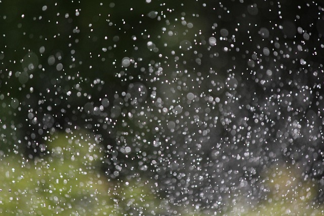 Free Water Droplets Rain photo and picture