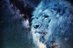 leo, starry sky, night