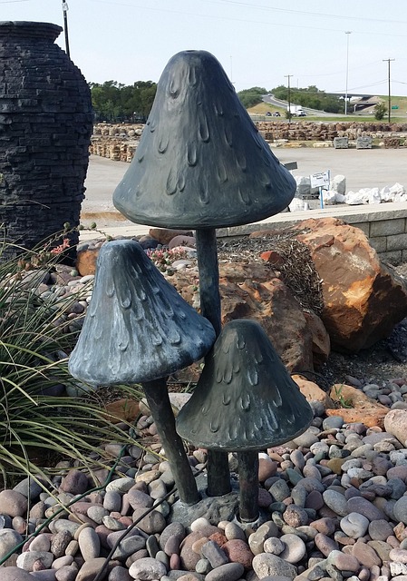 Free Mushroom Landscaping photo and picture