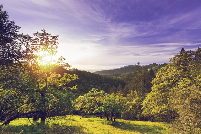 Vale, Sonoma, California, Napa