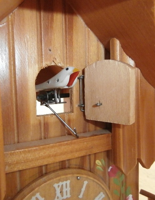 Free Cuckoo Clock Time photo and picture