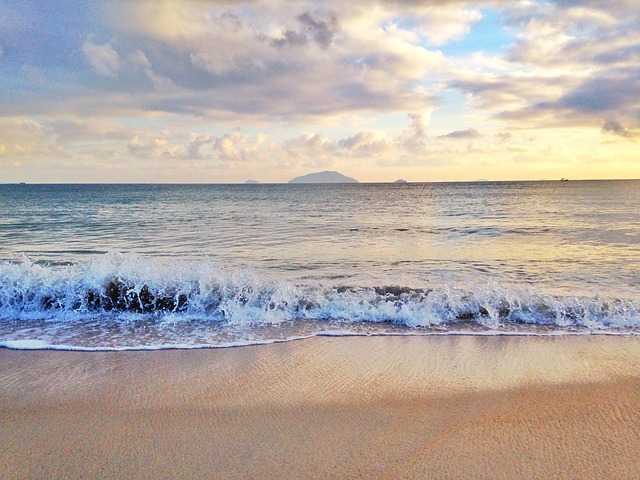 Free Beach Shore photo and picture