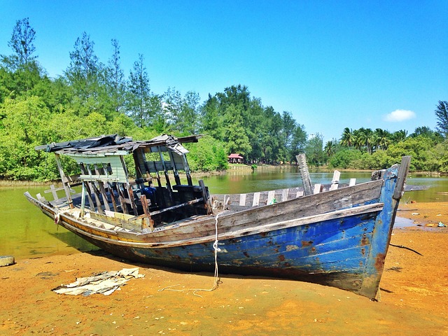 Free Boat Shore photo and picture