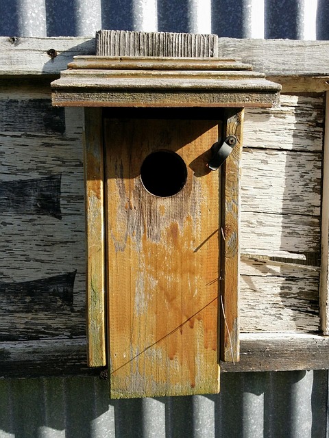 Free Bird House Country photo and picture