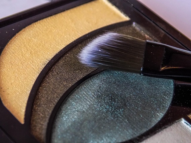 Free Brush Make-Up photo and picture