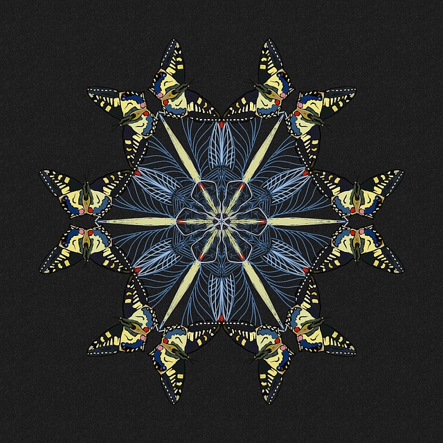 Free mandala butterfly concentration illustration