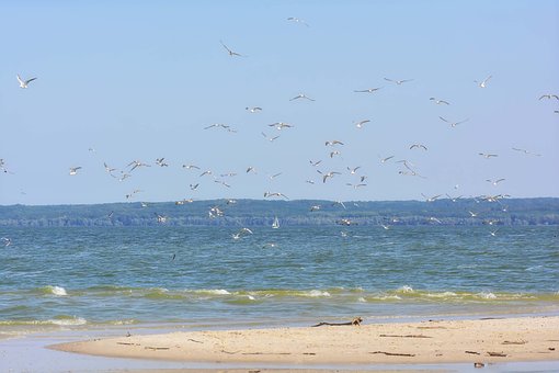 Free River Summer photo and picture
