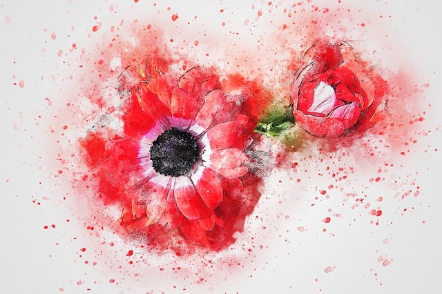 Free flower red art illustration