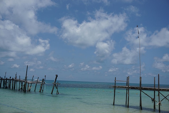 Free Web Sea photo and picture