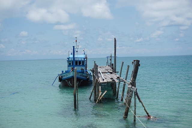 Free Web Sea photo and picture