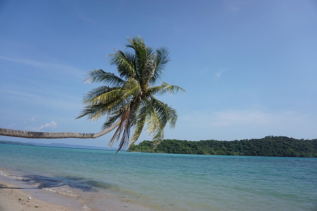 Free Sea Water photo and picture