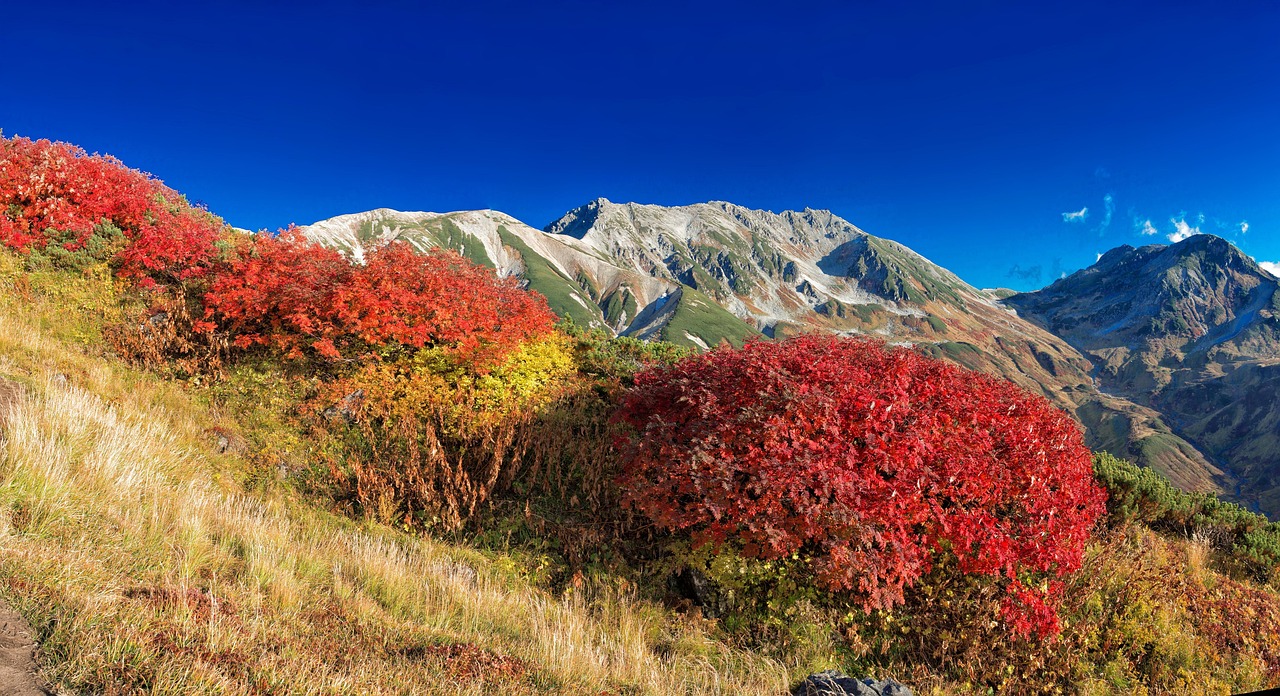 Mountainous Landscape - free online jigsaw puzzle photo