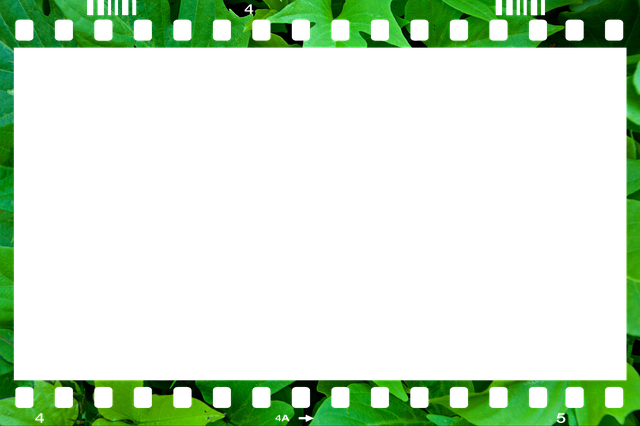 Free Images Photos illustration and picture