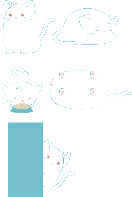 Gato, Gato Branco, Branco, Animal