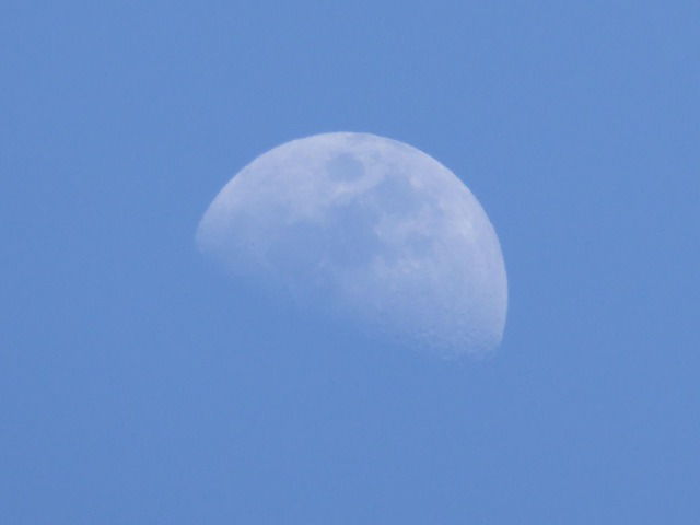 Dag, Blauw, En Vodden
