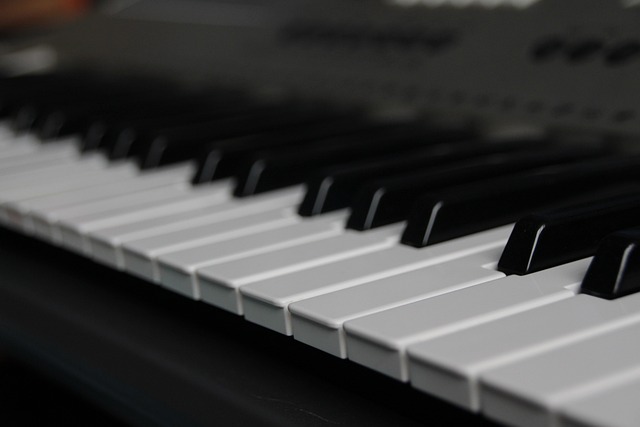 Free Piano Key photo and picture