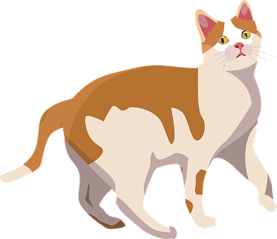 Katze, Tier, Säugetier, Niedlich