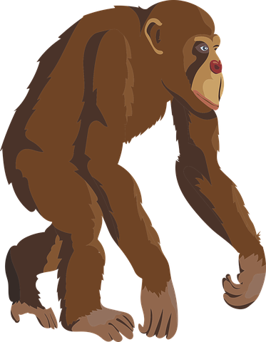 200+ Free Ape & Monkey Illustrations - Pixabay