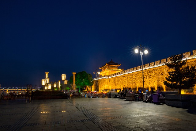 Free Night Night View photo and picture